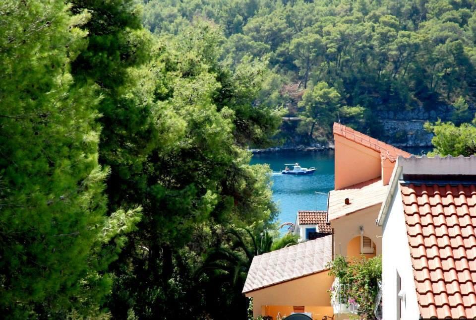 Guest House Alek Vrboska Szoba fotó